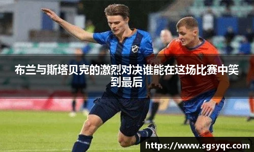智博19有限公司